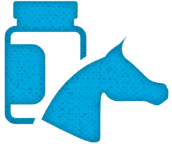 Equine Repeat Prescription