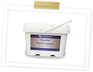 Equine Multivitamin