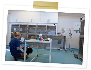 Hospitalisation Wards