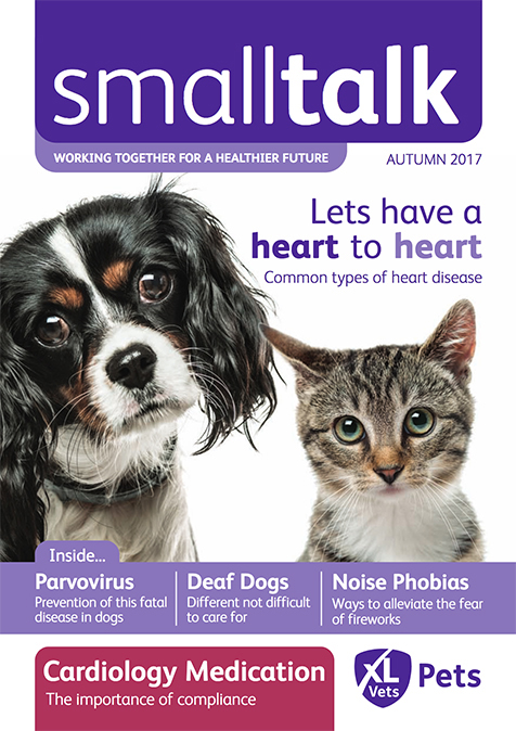 Cedar Small Talk Autumn 2017