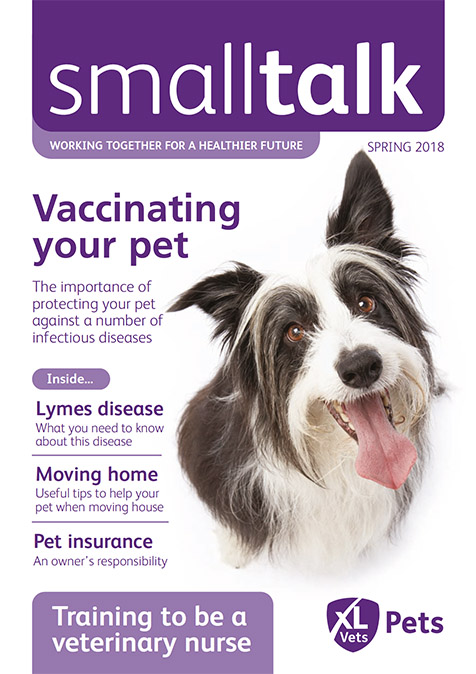 Cedar Small Talk Spring 2018