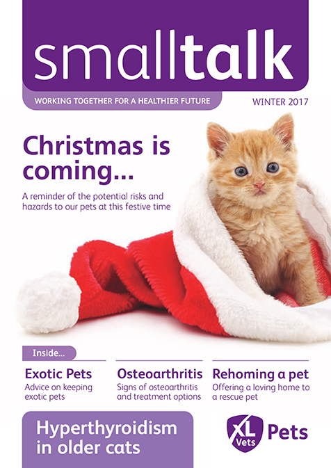 Cedar Small Talk Winter 2017