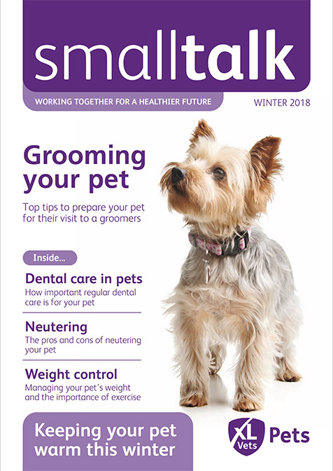 Cedar Small Talk Winter 2018